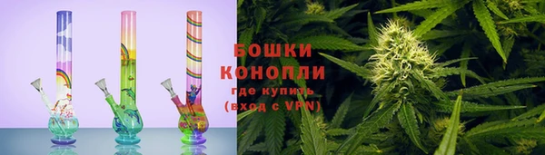 шишки Новозыбков